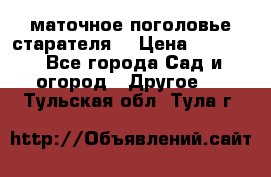 маточное поголовье старателя  › Цена ­ 3 700 - Все города Сад и огород » Другое   . Тульская обл.,Тула г.